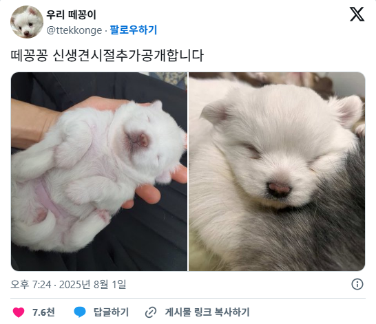 꼬순내-나는-아기-가래떡-6-이미지