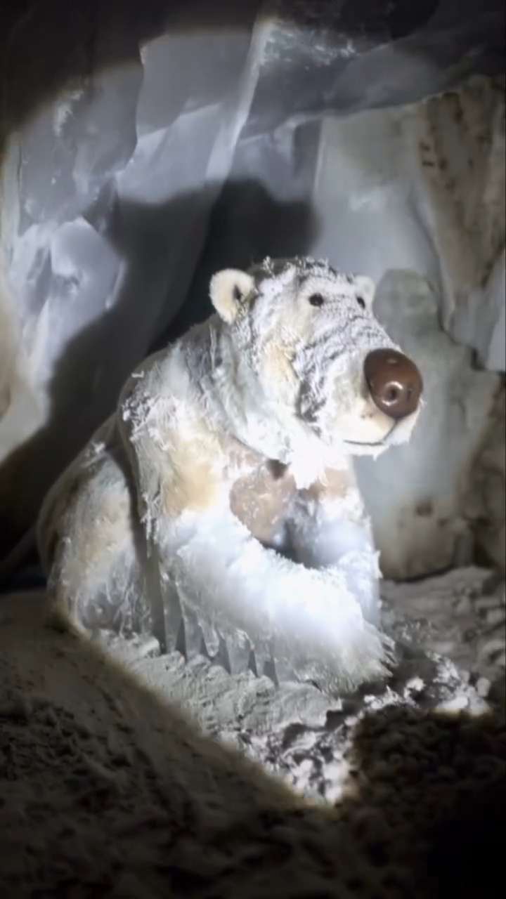 한때는-노는게-제일-좋았던-녀석들...mp4-1-이미지