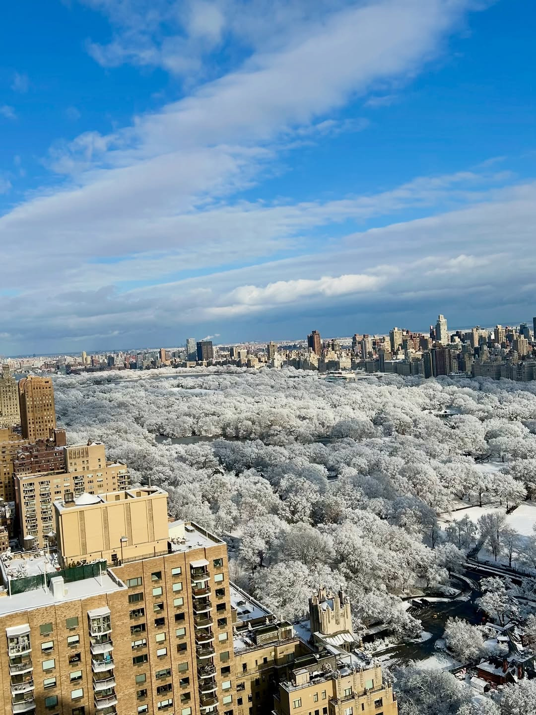 폭설내린-뉴욕-센트럴-파크-6-이미지