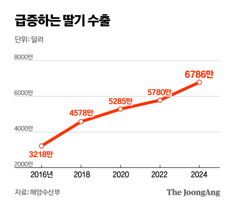 딸기-좋아하는-한국인들-큰일난-이유.........................jpg-0-이미지