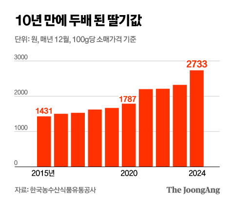 딸기-좋아하는-한국인들-큰일난-이유.........................jpg-2-이미지