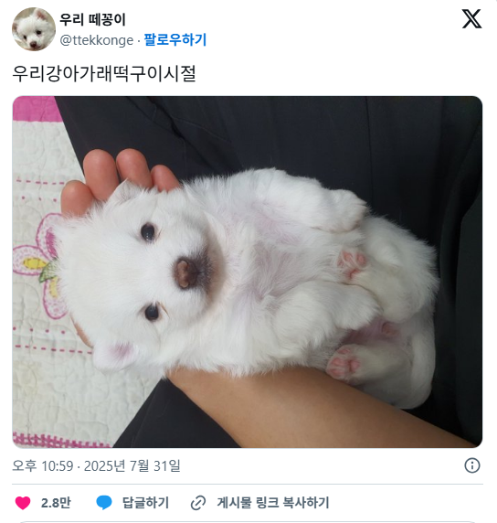 꼬순내-나는-아기-가래떡-5-이미지