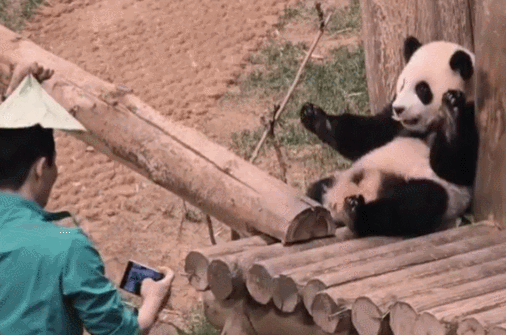 미끄럼틀-즐기는-루이바오-🐼-15-이미지