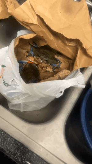 하기-까다로운-요리-3-이미지