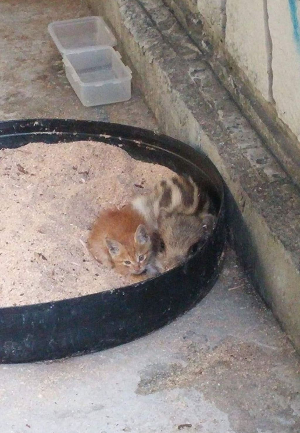 아부지가-출장가서-보낸-사진-1-이미지