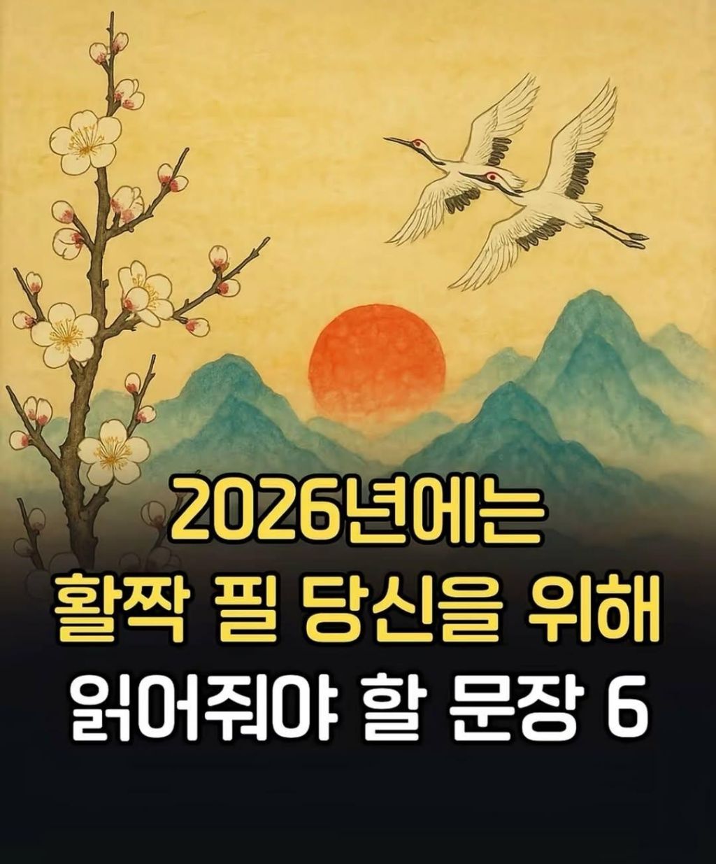 2026년에는-활짝-필-당신을-위해-0-이미지
