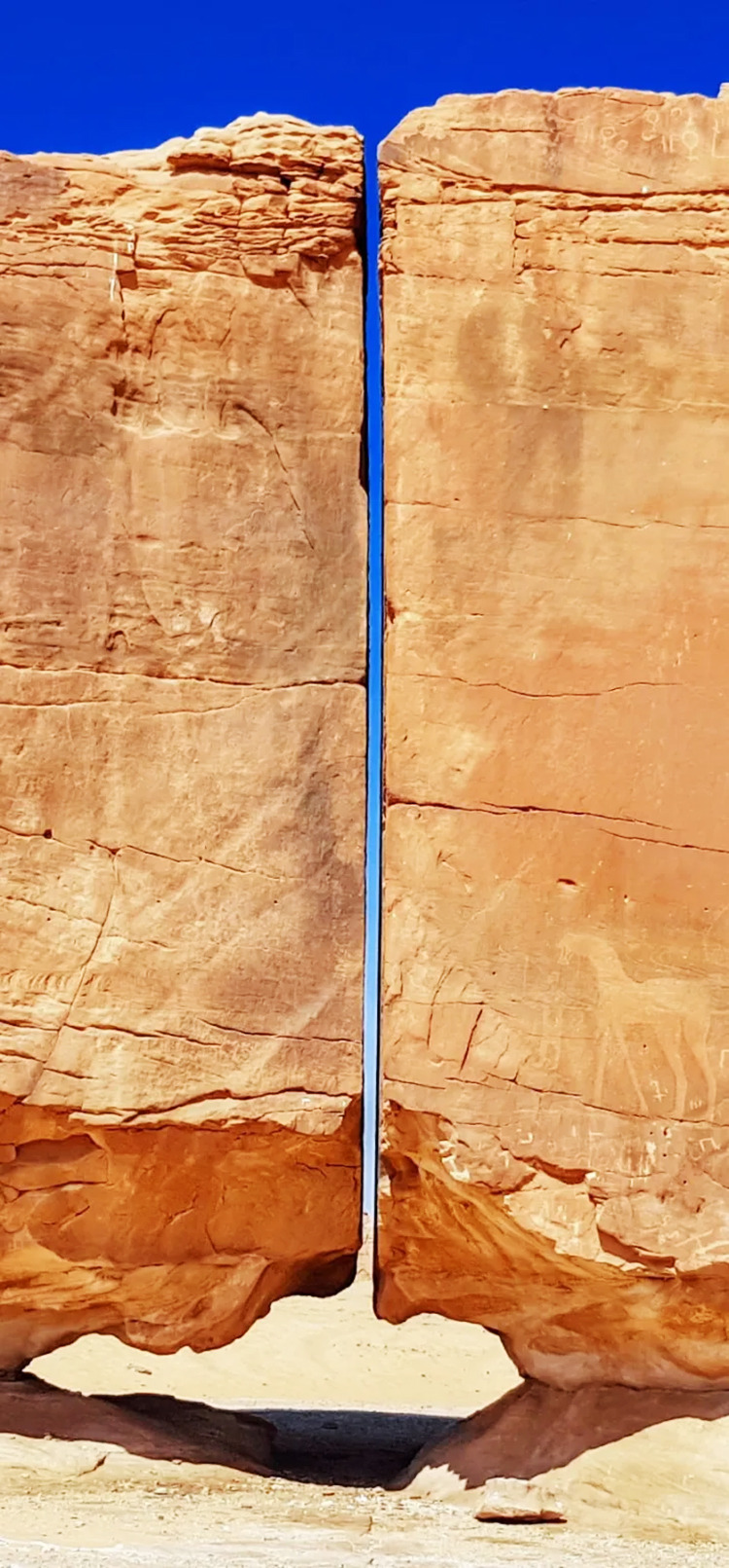 아무리-과학자들이-말해줘도-안-믿는-것-3-이미지