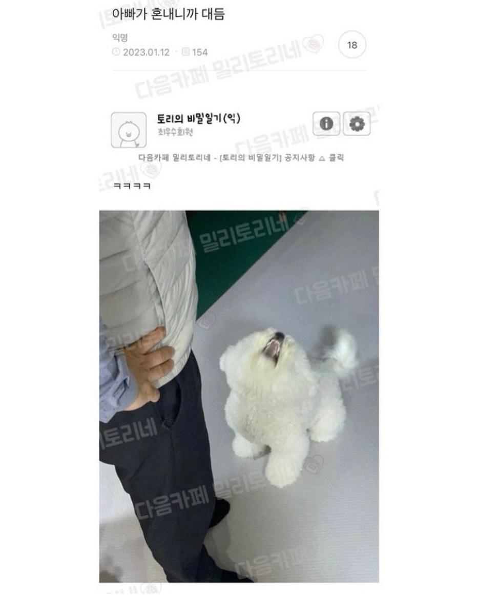 아빠가-혼내니까-대듬-0-이미지