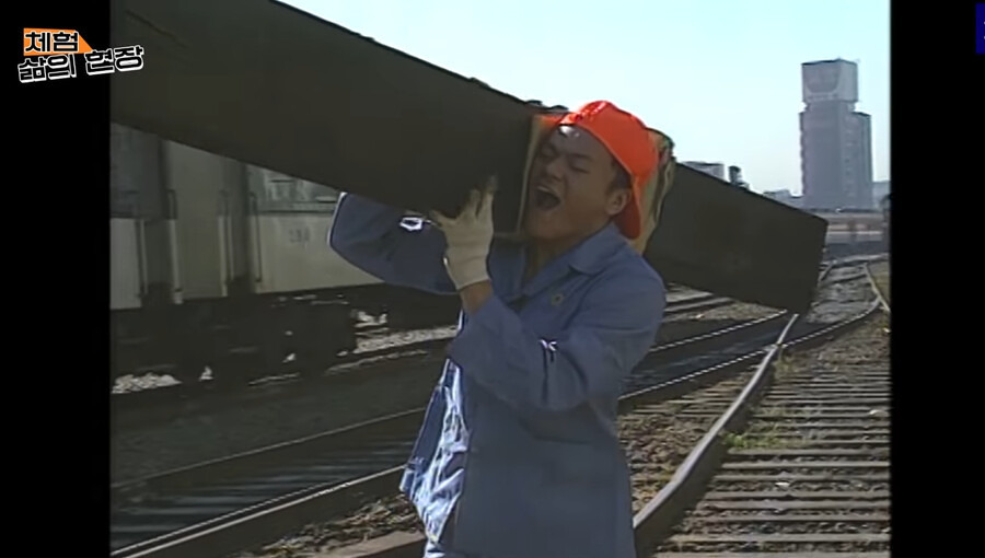 체험-삶의-현장에서-연예인들-체험했던-직업-2-이미지