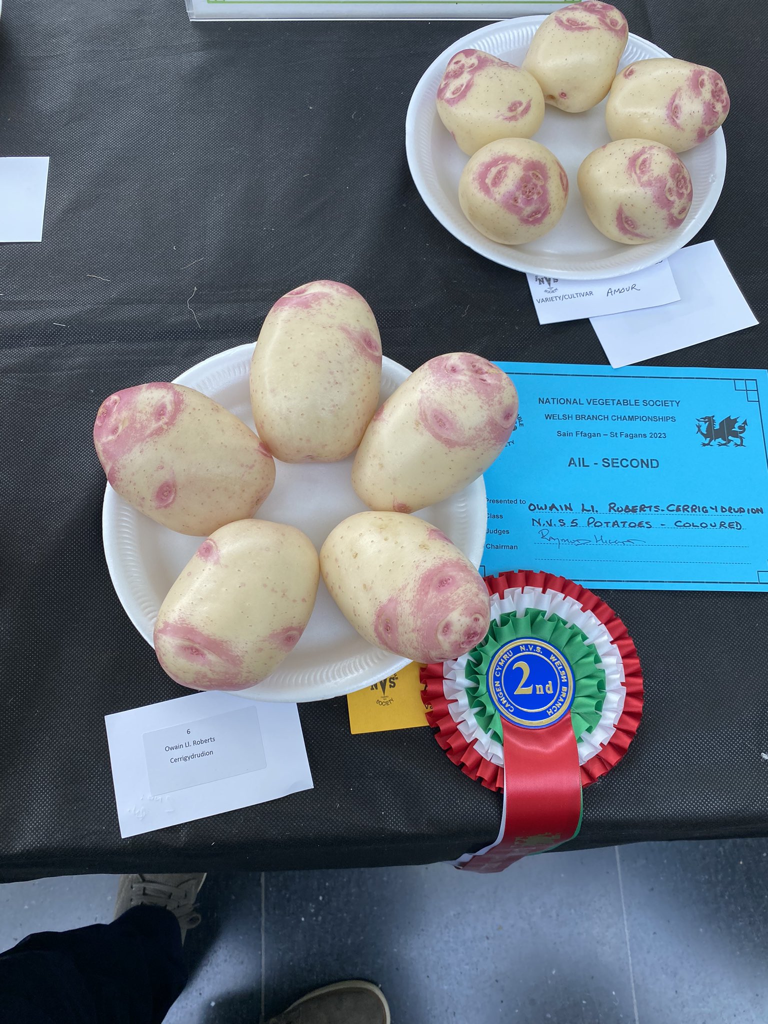 예쁜-야채-대회-수상작들-0-이미지