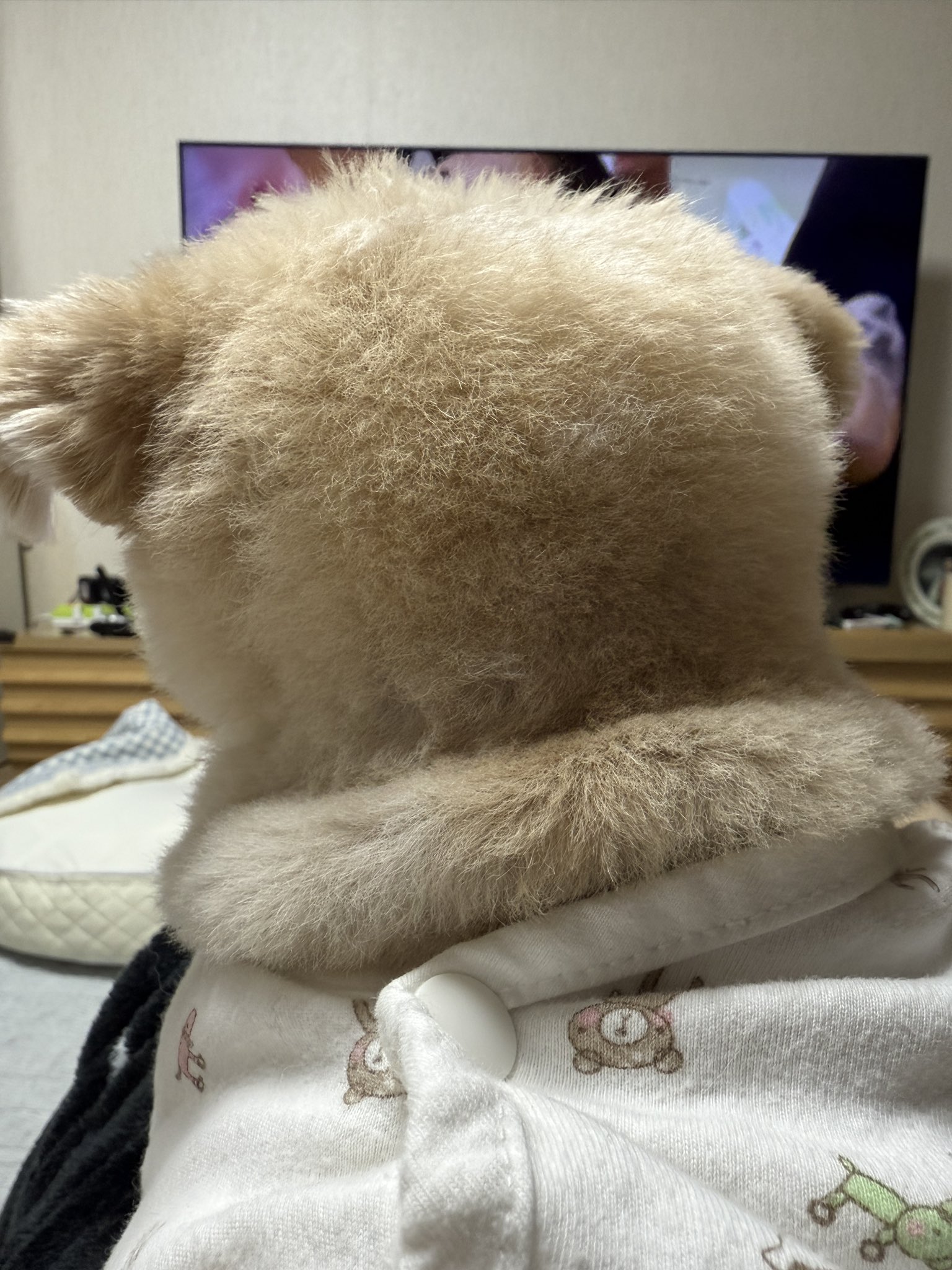 강아지-목살-원래-이렇게-두툼한가요-1-이미지