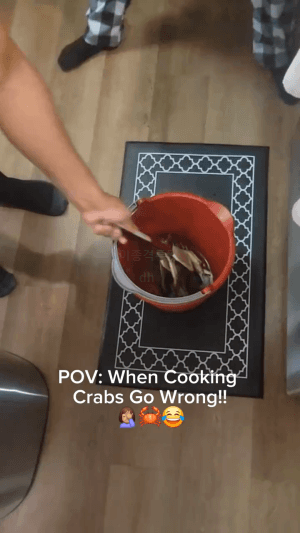 하기-까다로운-요리-1-이미지