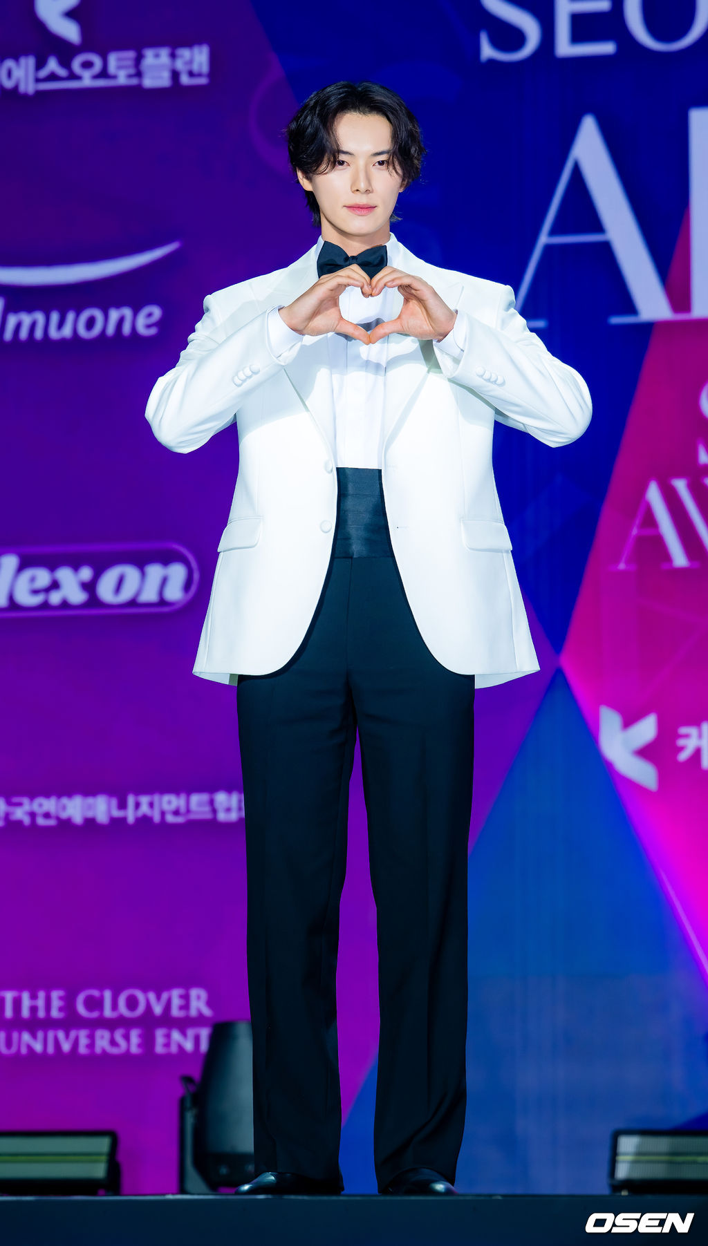 신예은-이채민-하영-차주영-아이유-(2025-서울콘-에이판-스타-어워즈-레드카펫)-8-이미지