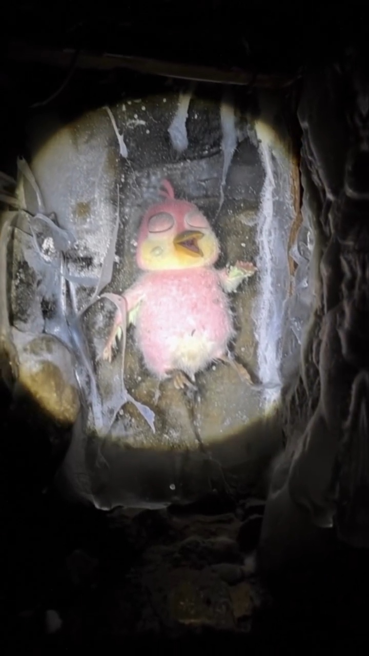 한때는-노는게-제일-좋았던-녀석들...mp4-3-이미지