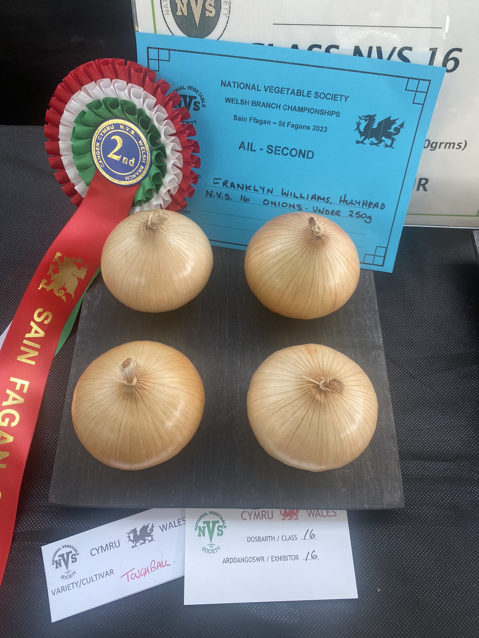 예쁜-야채-대회-수상작들-3-이미지