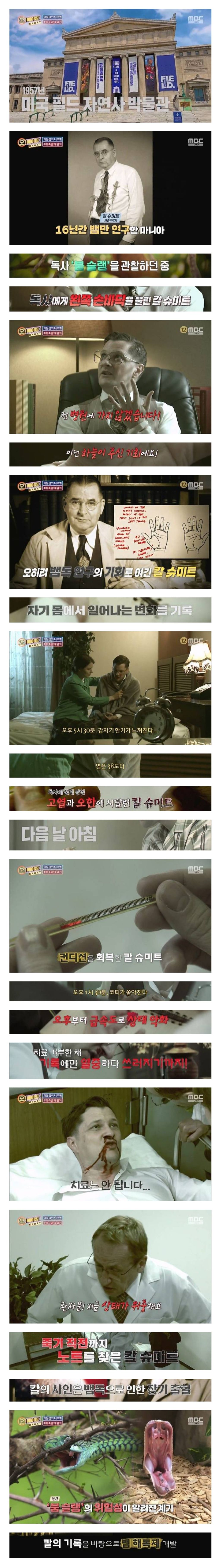 뱀독-해독제-개발을-위해-목숨을-받친-사람-1-이미지