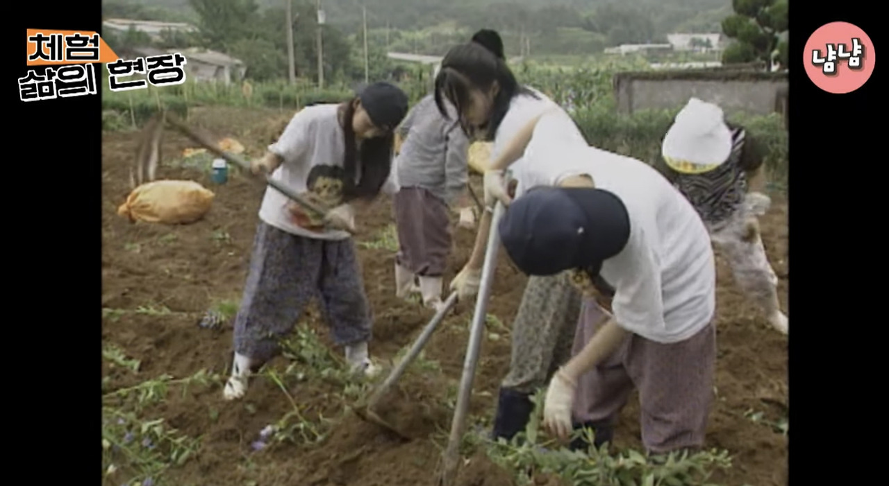 유명인들이-진짜-삶을-체험하는-프로였던-체험-삶의-현장.jpg-1-이미지