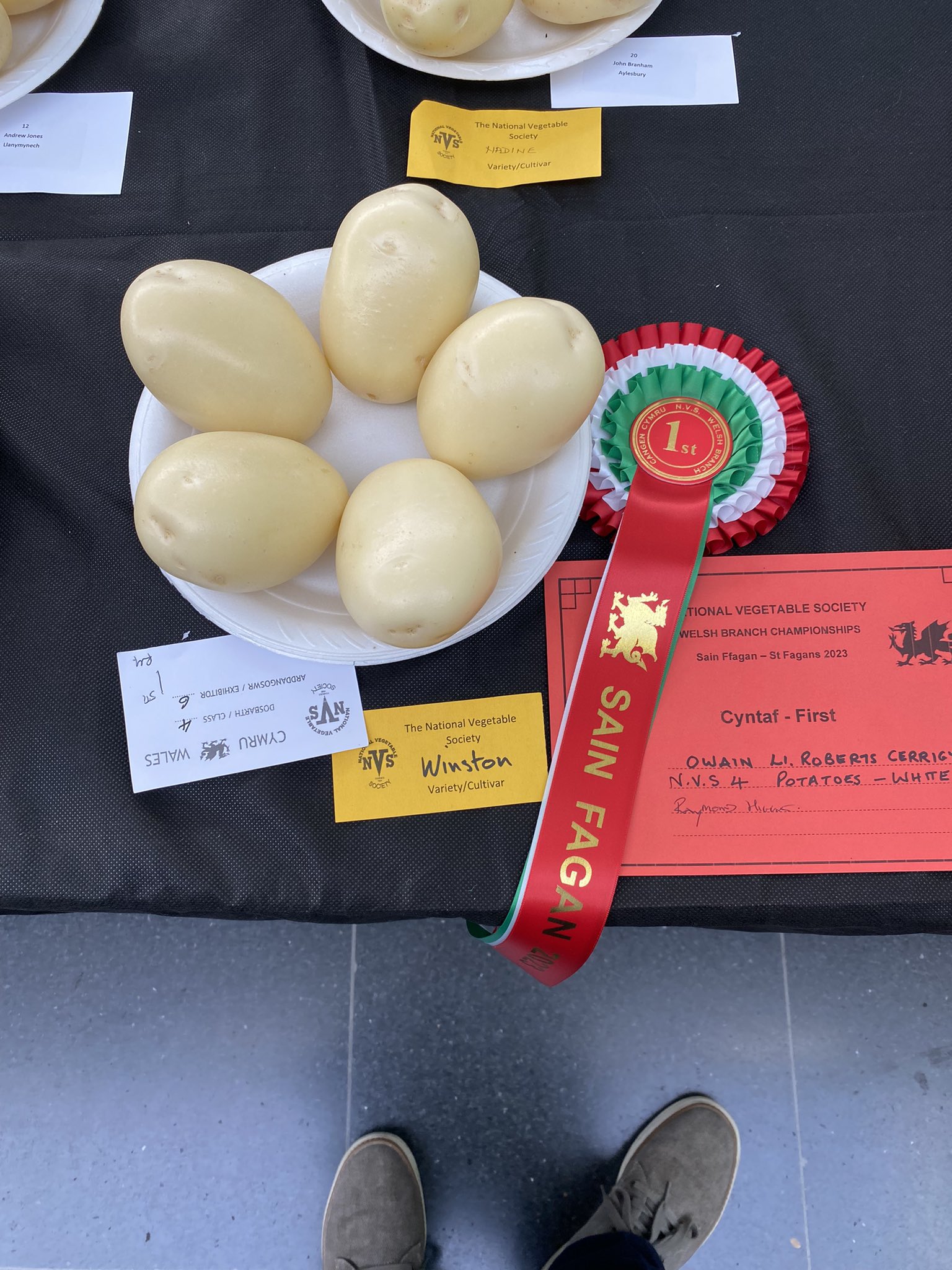 예쁜-야채-대회-수상작들-1-이미지