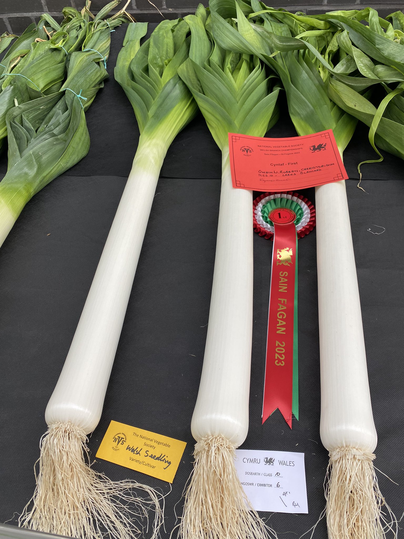 예쁜-야채-대회-수상작들-4-이미지