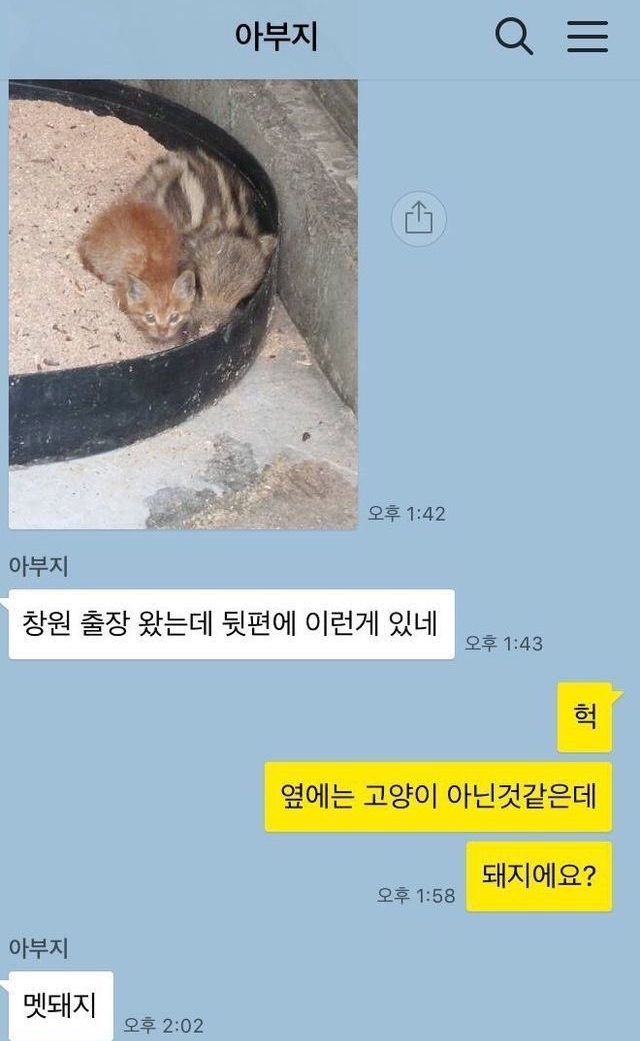 아부지가-출장가서-보낸-사진-0-이미지