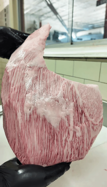 최고-등급-와규-0-이미지