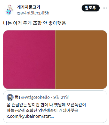 추억)-나-어릴-때-양면색종이-이-조합-안좋아했음..twt-0-이미지