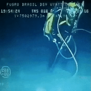 톱상어가-망충한-이유-5-이미지