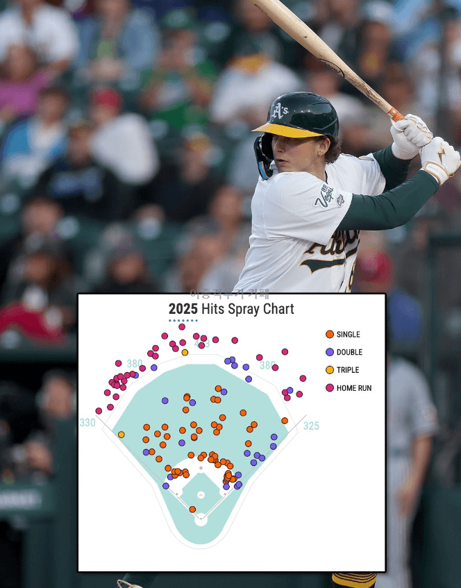어느-루키의-아름다운-스프레이-차트-0-이미지