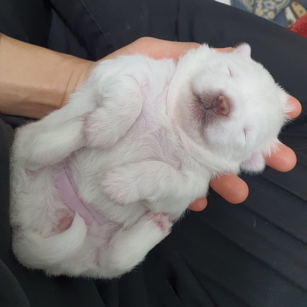 꼬순내-나는-아기-가래떡-1-이미지