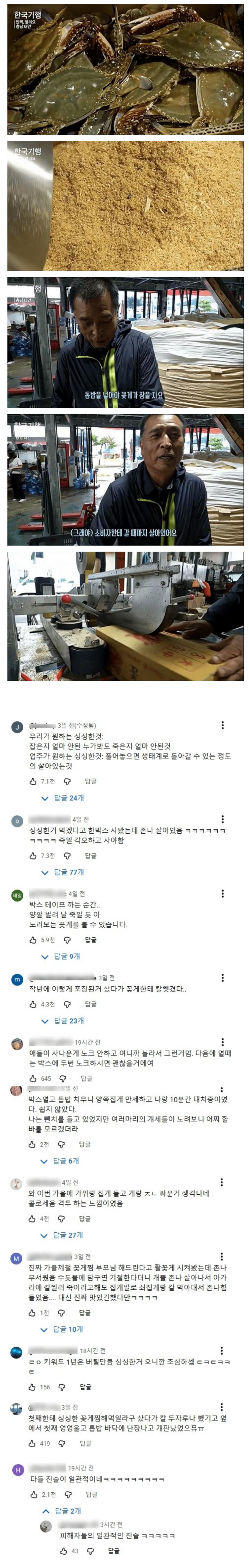 꽃게-위에-톱밥을-가득-얹는-이유-0-이미지
