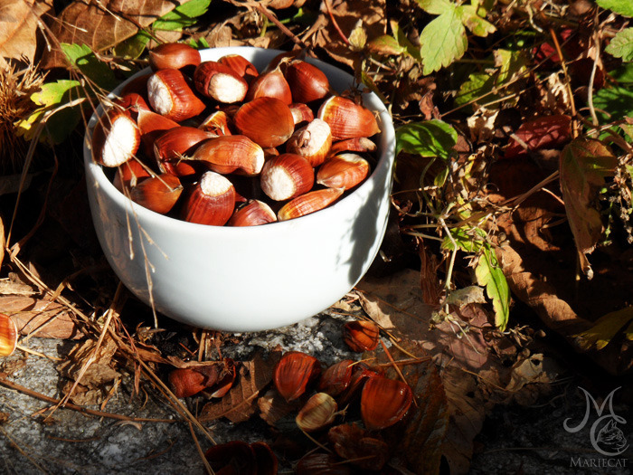 밤송이-까놨더니-찾아온-손님-3-이미지