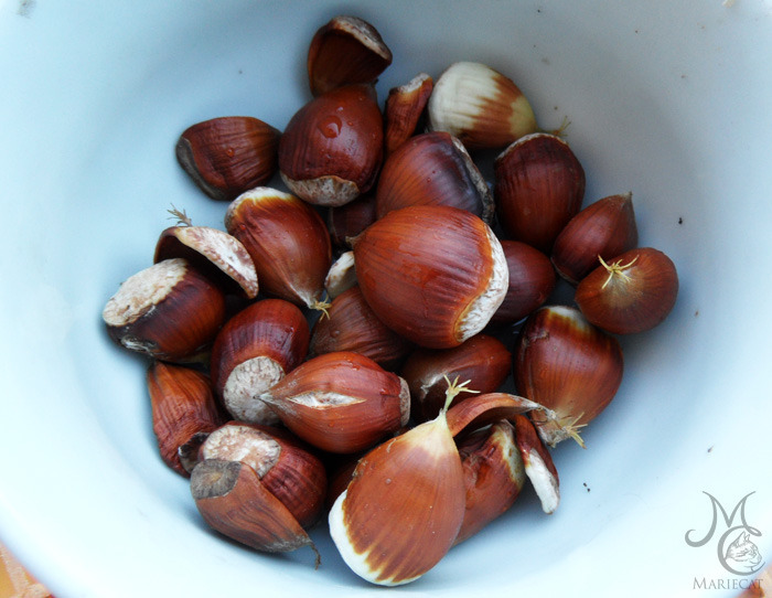 밤송이-까놨더니-찾아온-손님-1-이미지