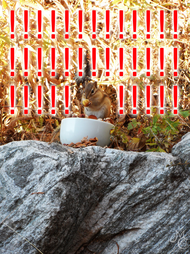 밤송이-까놨더니-찾아온-손님-4-이미지