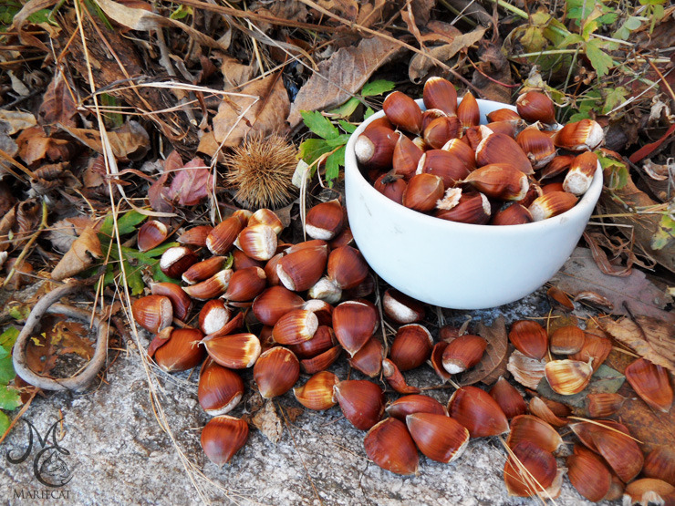 밤송이-까놨더니-찾아온-손님-8-이미지