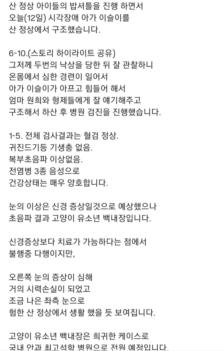 관악산에-사는-고양이들-밥주러-365일-산-타시는-집사님-이야기-들어봐주라.-+아가냥들-입양소식-10-이미지