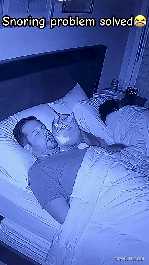 밤새-코-골면-벌어지는-일-0-이미지