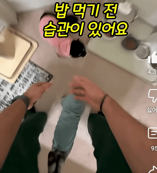 밥먹기전-이상한-루틴을-가진-고양이-1-이미지