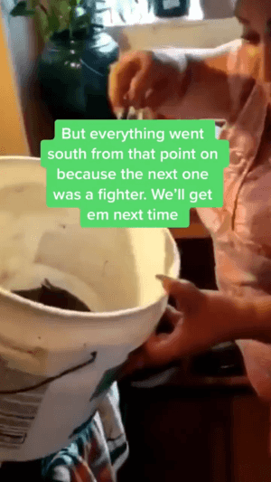 하기-까다로운-요리-2-이미지