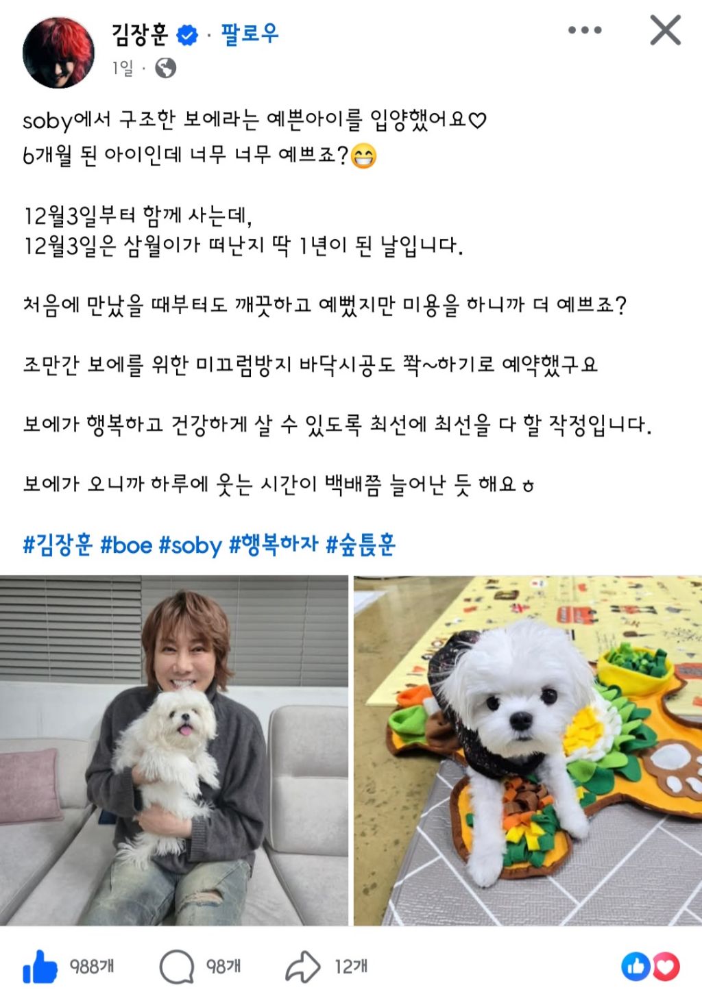 가수-김장훈이-입양한-강아지-0-이미지