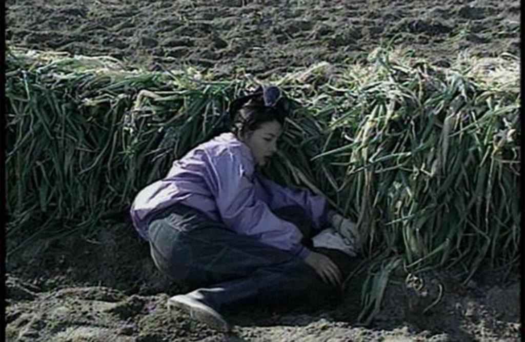 체험-삶의-현장에서-연예인들-체험했던-직업-16-이미지