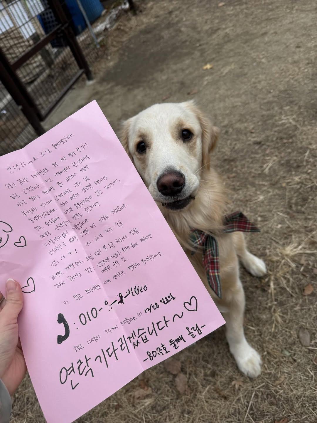 아파트-옆집-둘째딸의-도전장.jpg-1-이미지