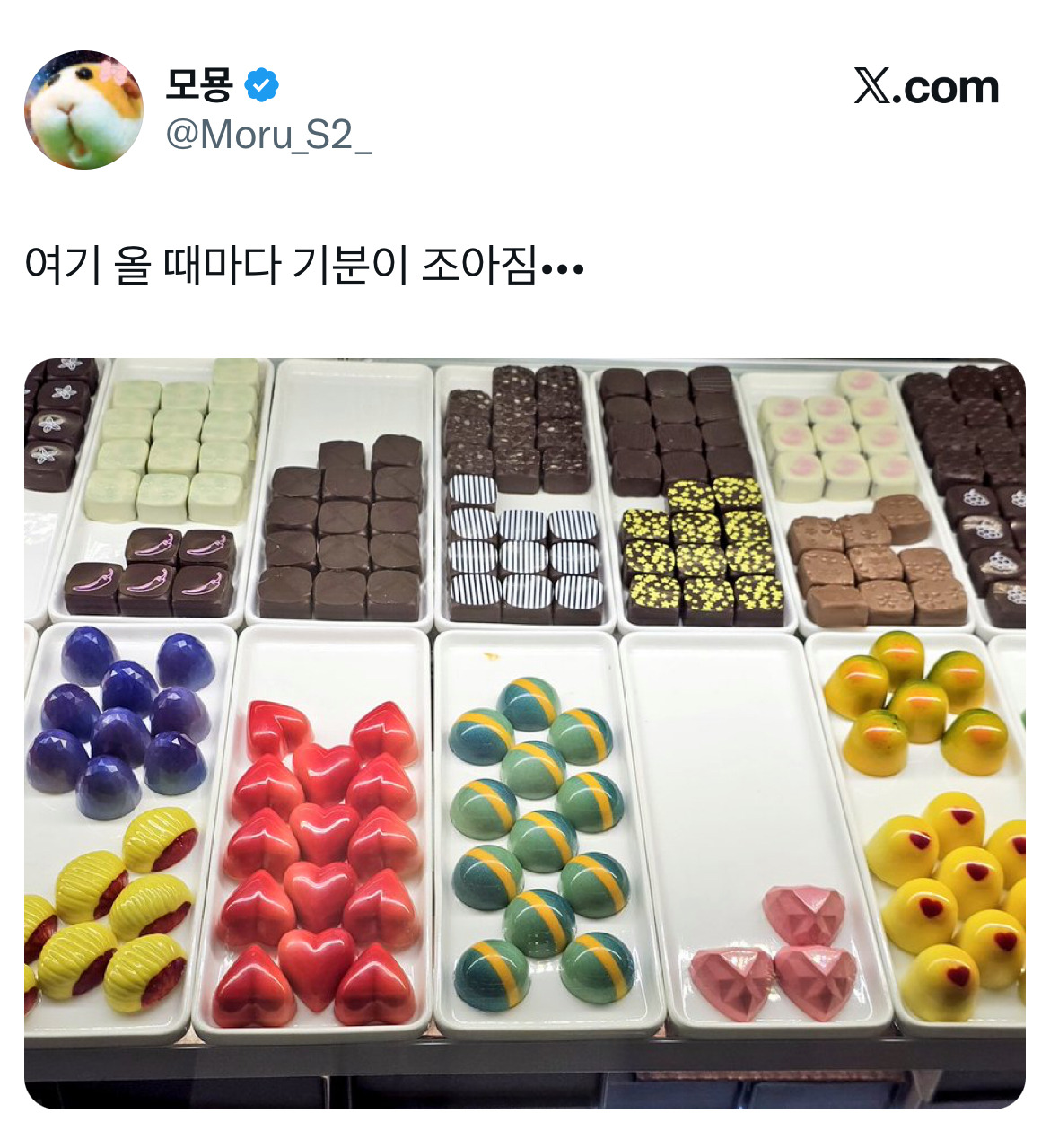 꿈빛파티시엘이-대전에-실존함...갈-때마다-너무-신기함.twt-3-이미지