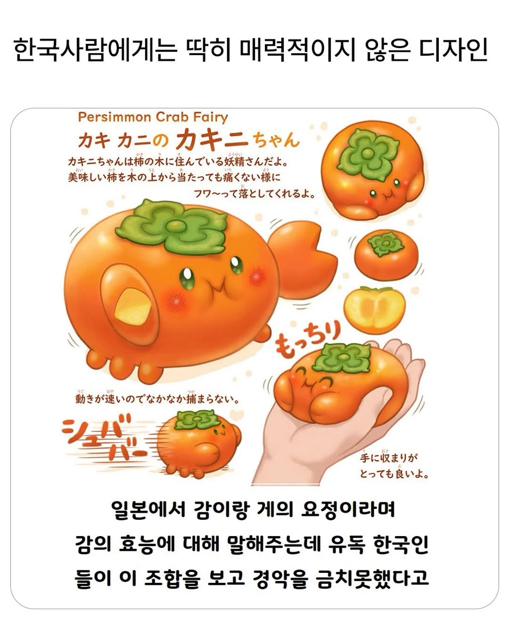 한국사람에게는-매력적이지-않은-디자인.jpg-1-이미지