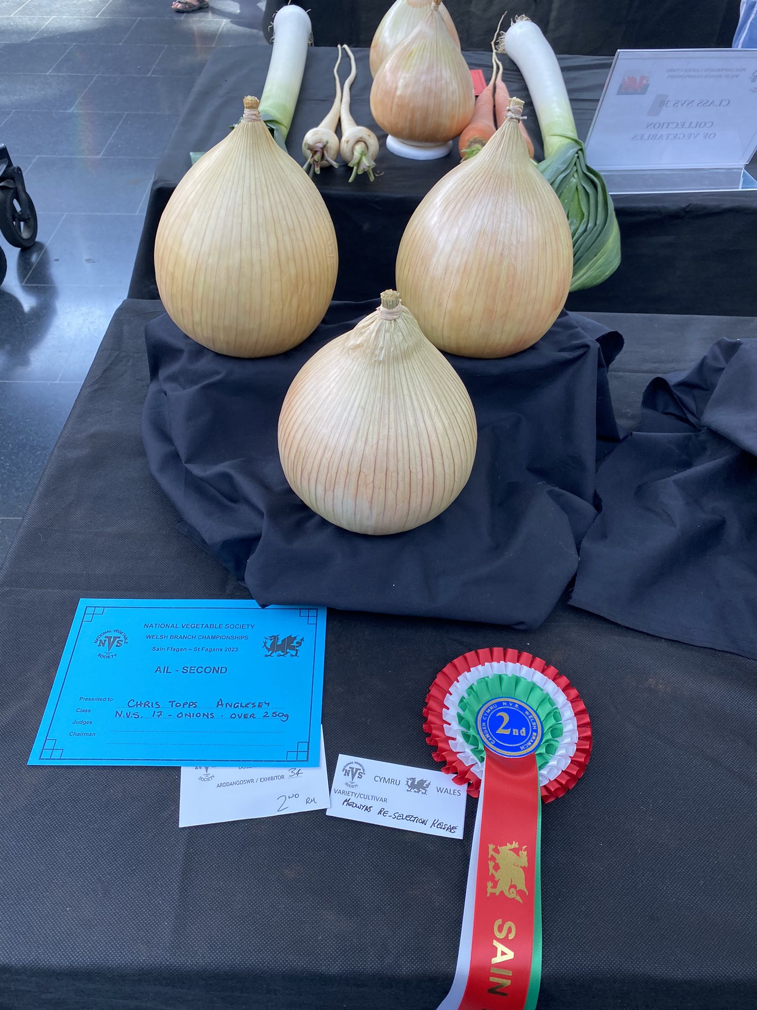 예쁜-야채-대회-수상작들-2-이미지