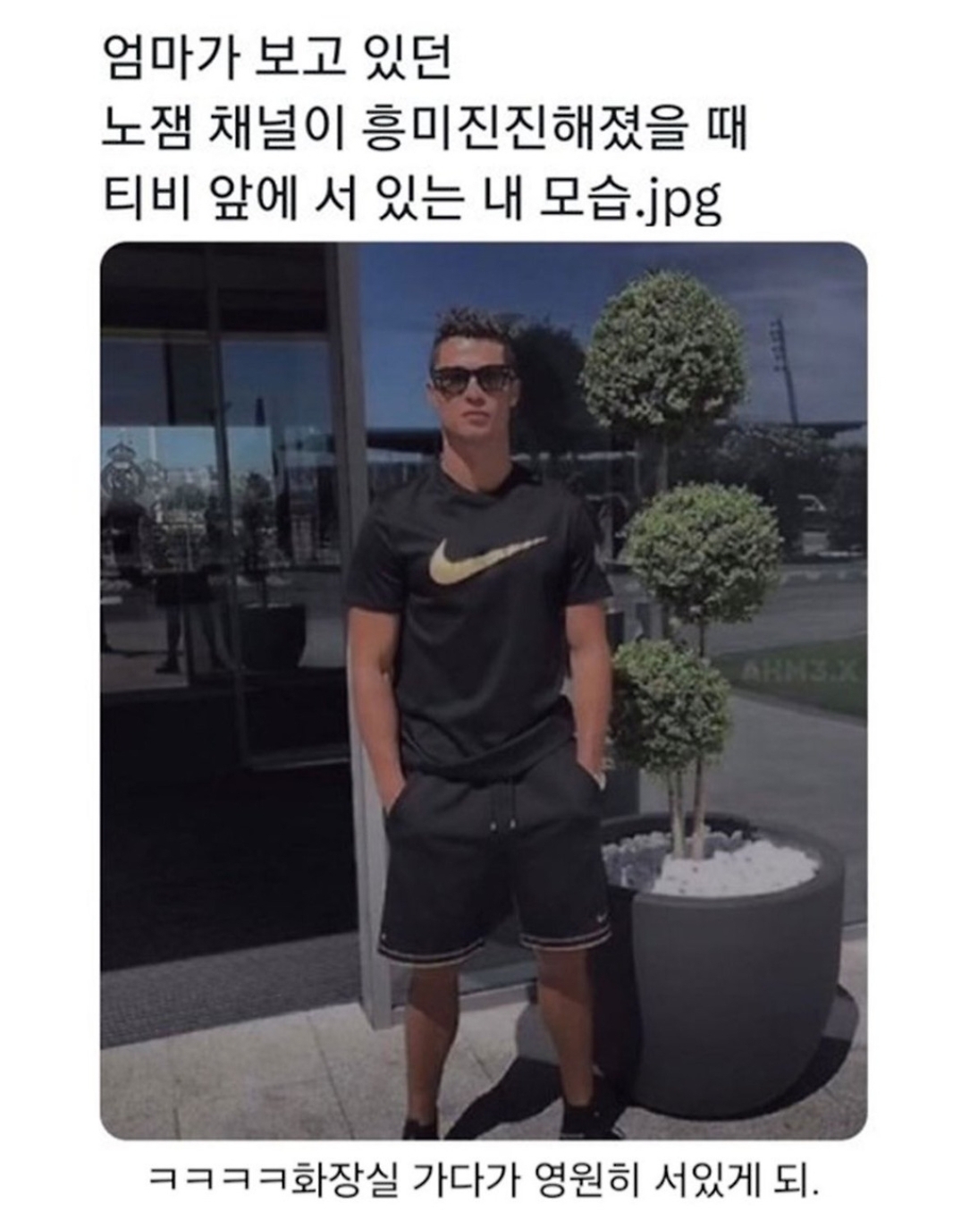 부모님이-보던-노잼프로-점점-재밌어질때-1-이미지