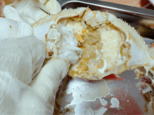 호불호-갈리는-찜요리-1-이미지