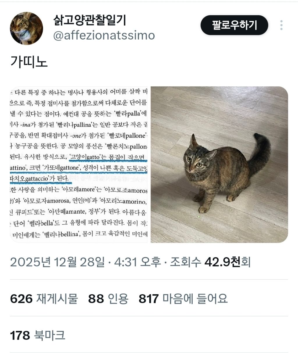 고양이의-여러-호칭-0-이미지