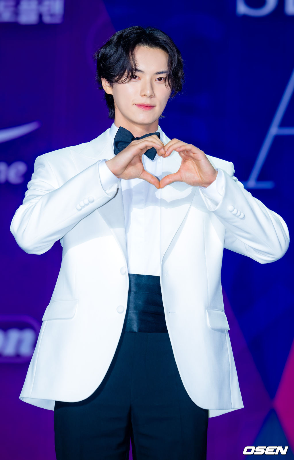 신예은-이채민-하영-차주영-아이유-(2025-서울콘-에이판-스타-어워즈-레드카펫)-7-이미지