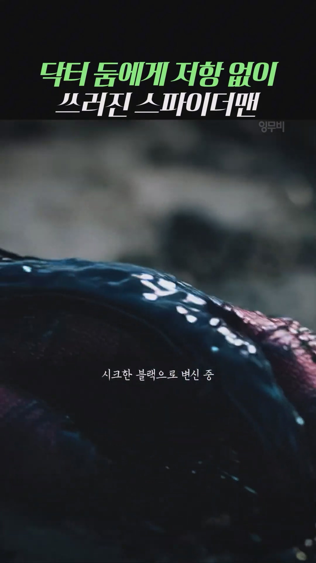 ai작품이지만-이렇게-나오면-흥행한다는-둠스데이-내용-17-이미지