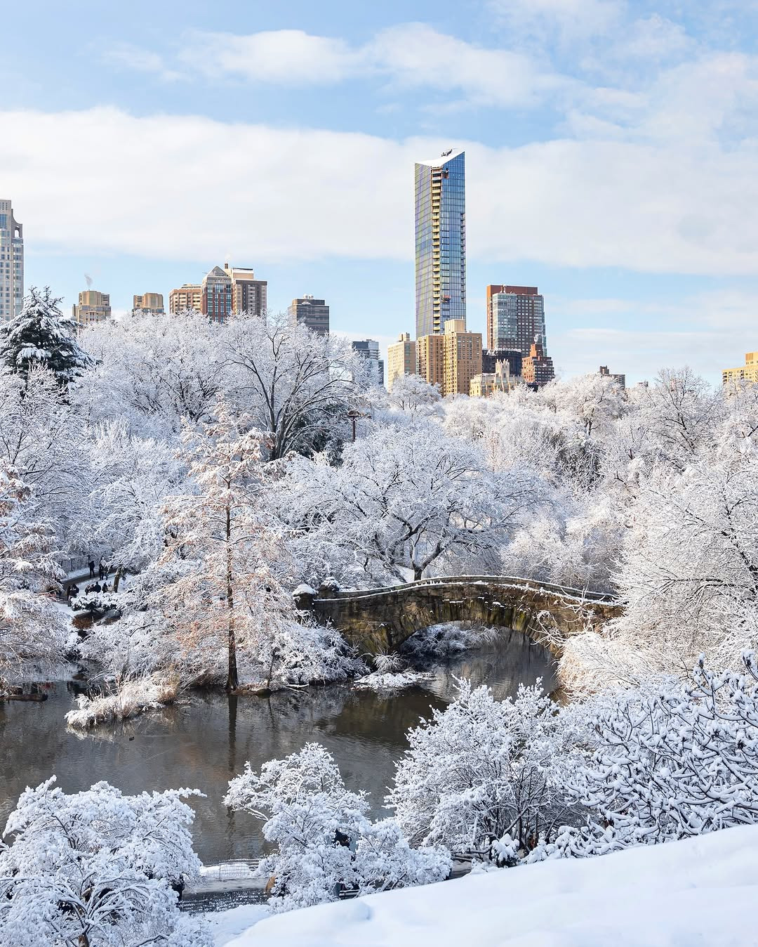 폭설내린-뉴욕-센트럴-파크-2-이미지